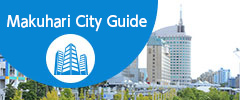 NEW CITY GUIDE